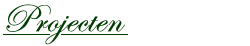 Projecten